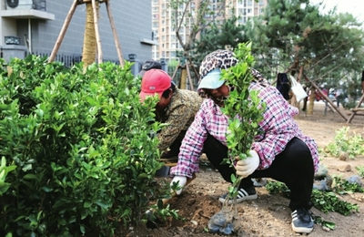 让居民生活在花园里 让森林生长在城市里